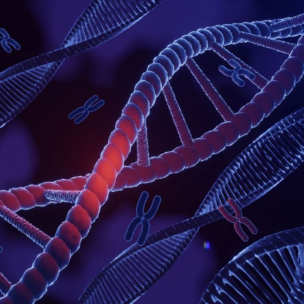 bigstock Dna Spiral Structure Dna Heli 466292017 bigstock Dna Spiral Structure Dna Heli 466292017