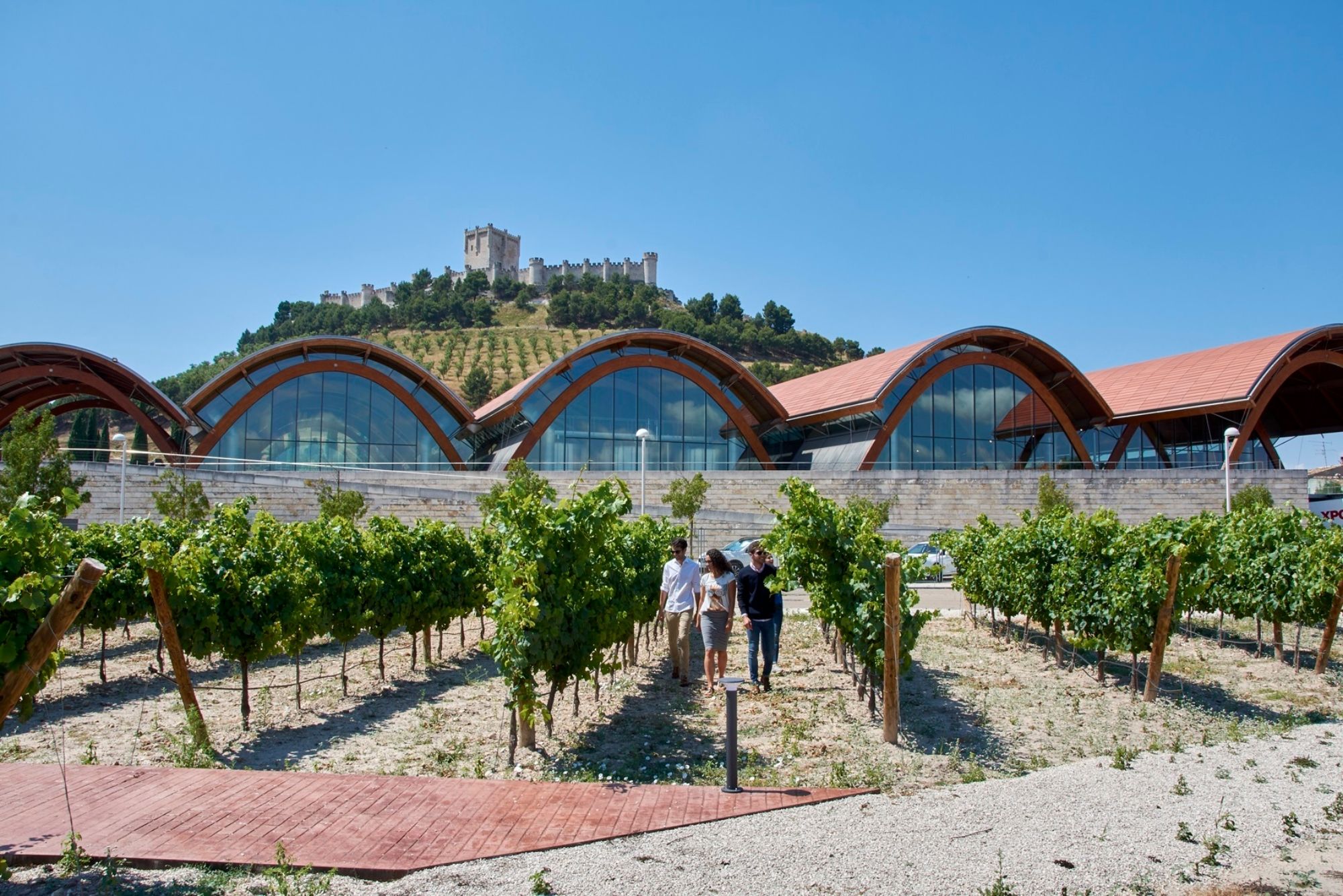Esta es la mejor bodega de España, según 'National Geographic': está en Valladolid (Europa Press)
