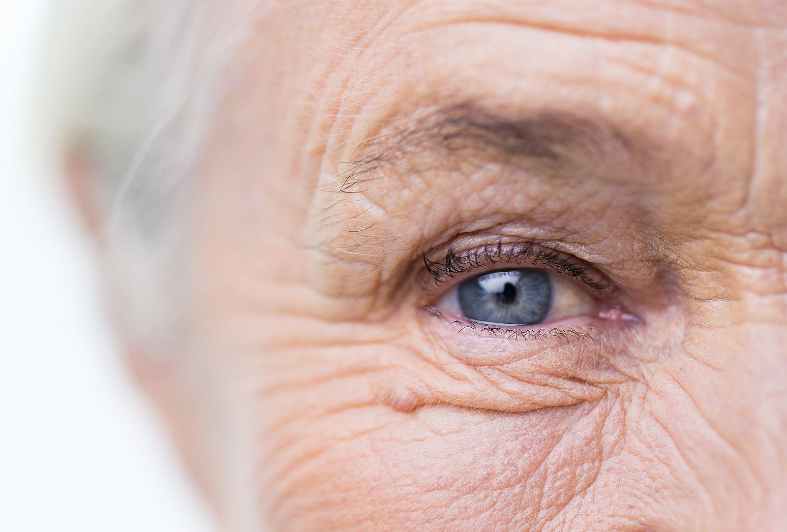 La estrategia para prevenir la degeneración macular relacionada con la edad. (Bigstock)